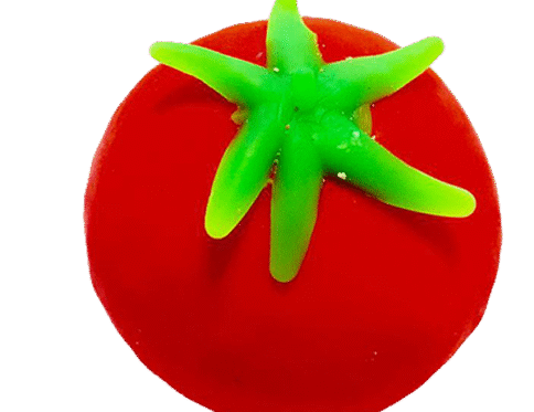 עגבניית אורביז