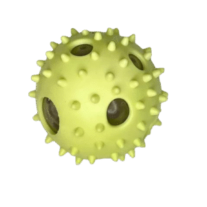 כדור קוצים אורביז