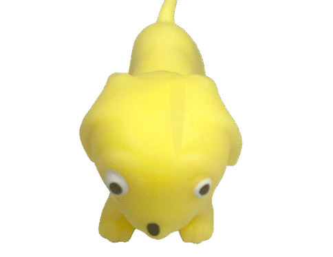 כלב נמתח חול